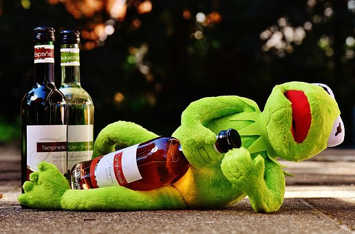 kermit-1651615__340